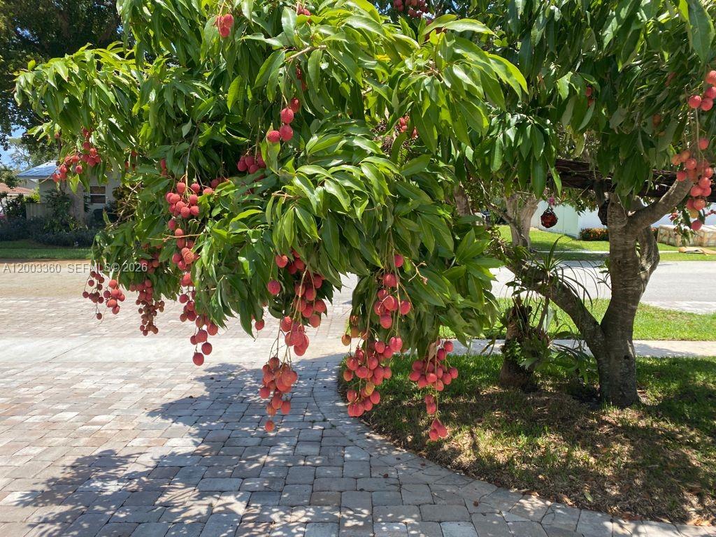 BOCA RATON SQUARE UNIT 8 - Residential