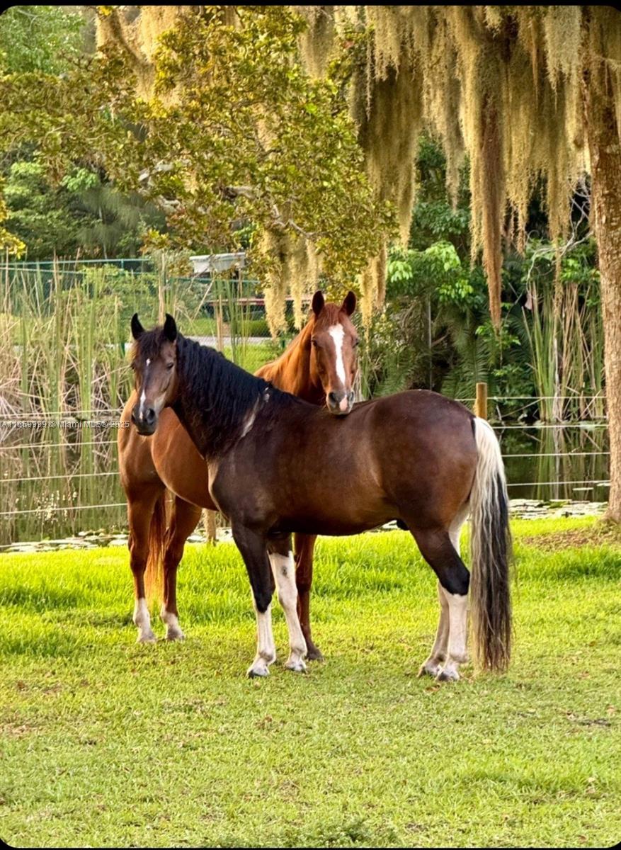MARTHA BRIGHT FARMS - Residential