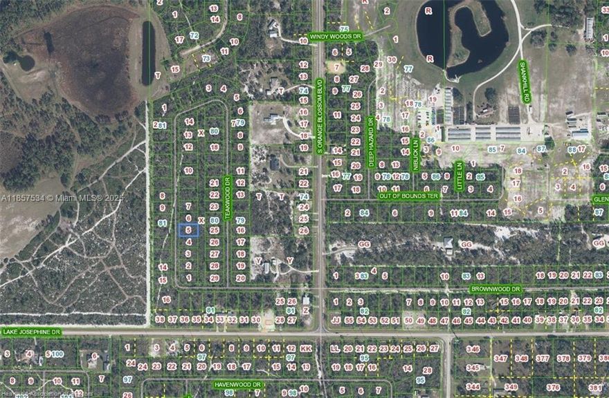 OWNER WILL FINANCE $1,000 DOWN $243.93 A MONTH AT 7% INTEREST FOR 36 MONTHS. Beautiful lot in a rural area of Highland Park Estate. Power is one lot away at street. If you want to build your dream home among nature rather that neighbors this is the spot for you. Yet only a 7 minute drive from town! Lake Istokpoga a 27,000 acre lake renown for bass fishing is nearby ..the Windy Point Boat ramp is just down the road. Along with the Highlands Est. Community Park.