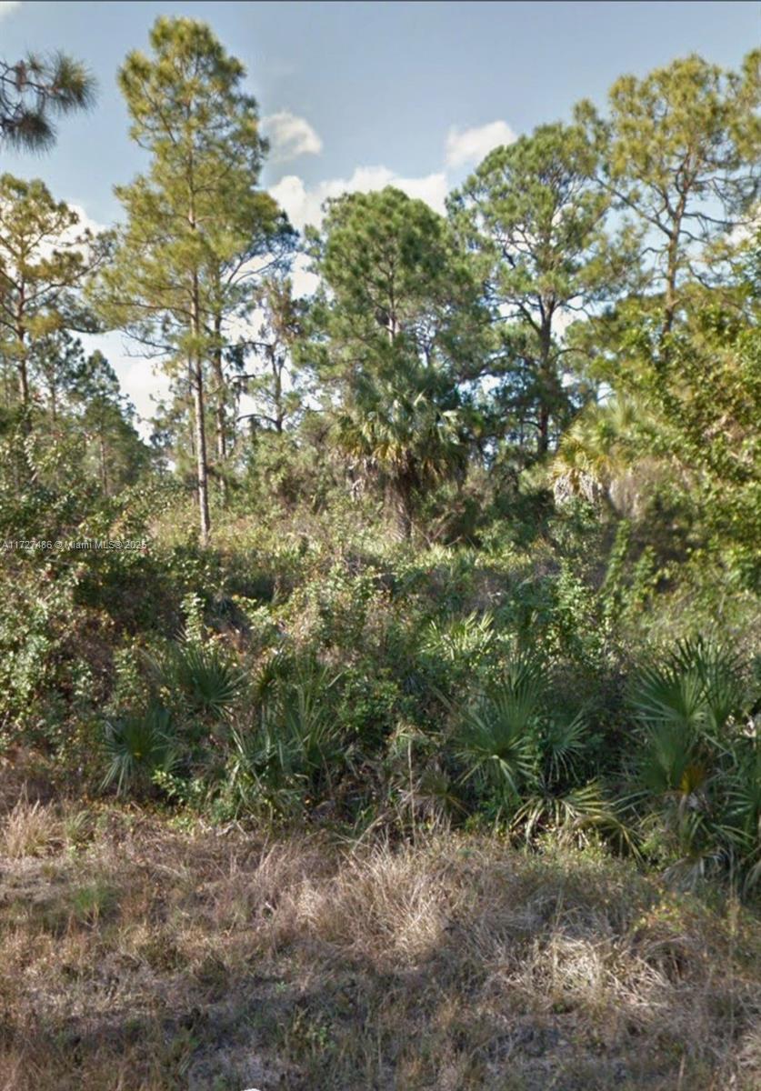 Great Opportunity!!! Lot for Sale in Lehigh acres Florida, Close to 82, Restaurants, Markets and more. Great Opportunity to build your home or Investment.