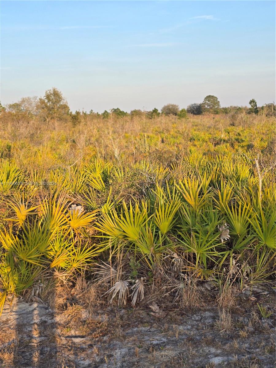 Viking Prairie - Land