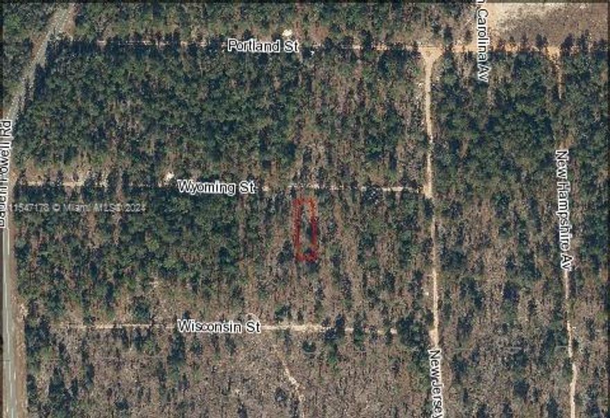 A REWARDING ESCAPE PEACEFULLY LOCATED IN HAWTHORNE, OCALA! Great Investment opportunity! Bring your Smores to the Campfire and Build your Dream Home!