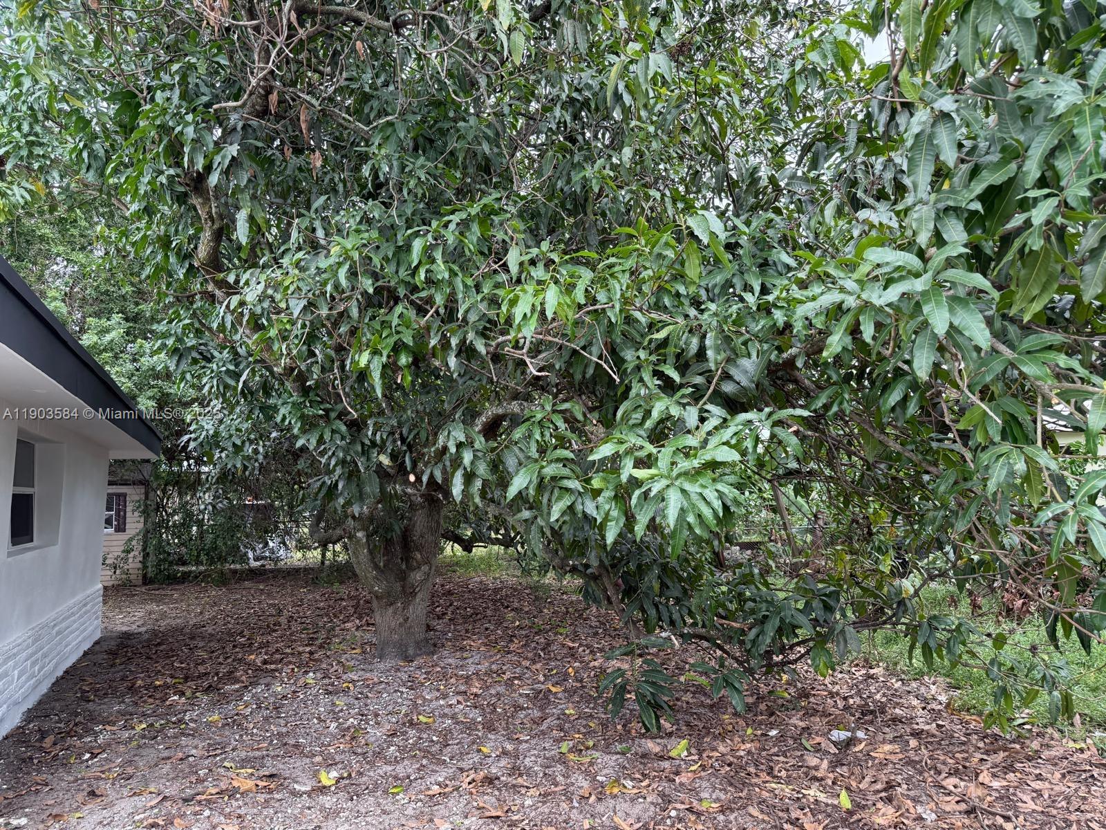 HIGH HOUSE SUB - Residential