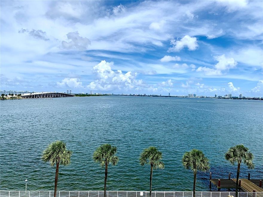 Bay Park Towers is a high-rise condo building in Edgewater neighborhood with a direct water view. The ideal location just minutes away from parks, shopping and restaurants in Design District & Midtown Miami. Easy access to all the main Miami neighborhoods and attractions, South Beach, Downtown/Bayside, Mary Brickell and MIA. Spacious corner unit 2bd/2bth, with ample closets space, tons of natural light and amazing water and Miami skyline views. Stainless steel appliances, porcelain floor tiles throughout, freshly painted. Enjoy Bayfront heated pool, tennis court, BBQ area, boat access dock, gym and other amenities. Gated building with 24h security and valet service.