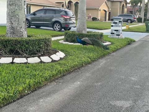 A home in Pembroke Pines