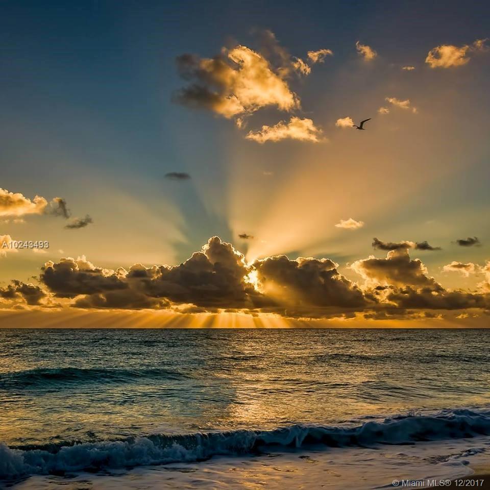 TRUMP ROYALE - Residential