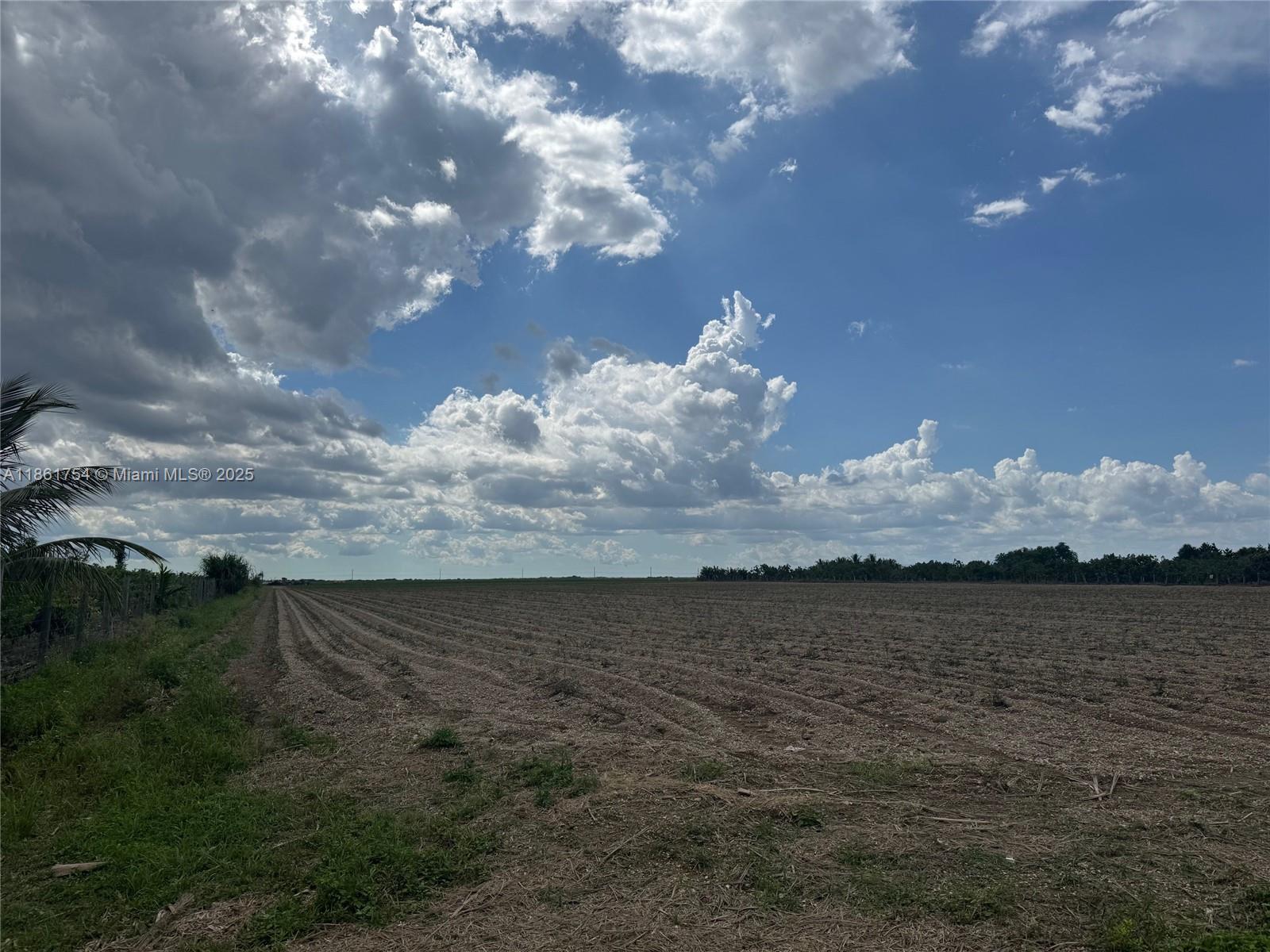 SW 212 AVENUE & SW 388 STREET