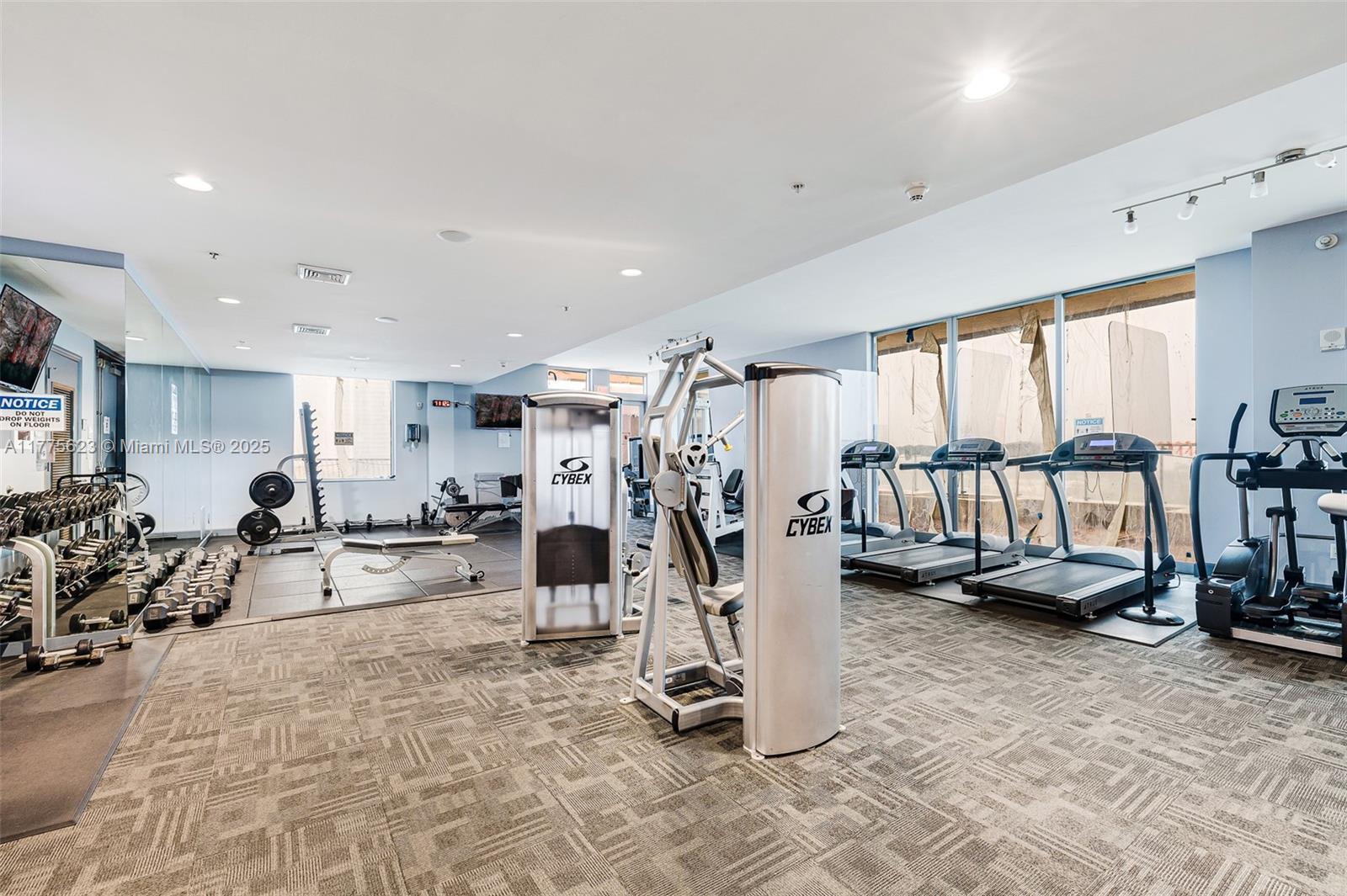 THE LEXI CONDO - Residential