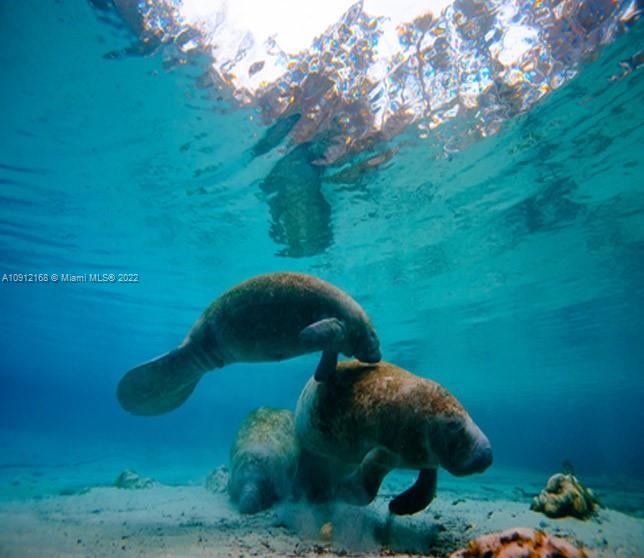 Rotonda Lakes - Land