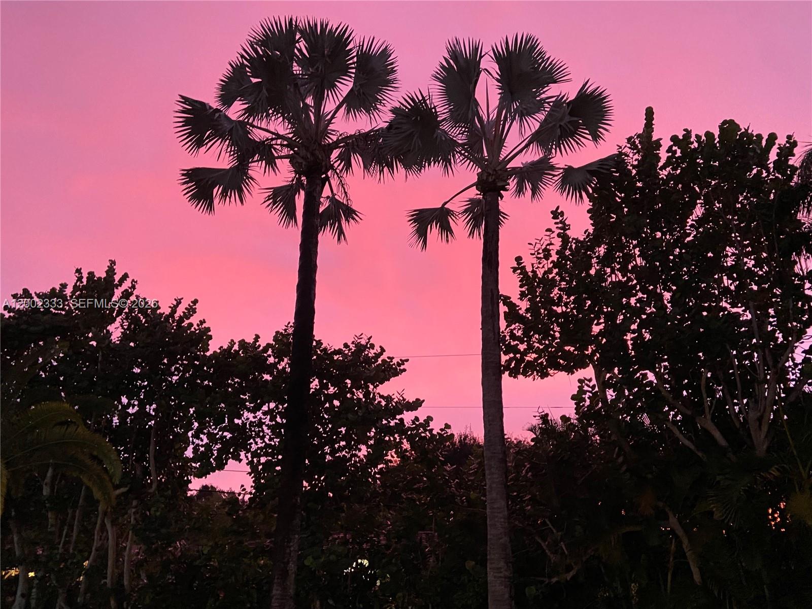 PATRICIA MANOR - Residential Lease