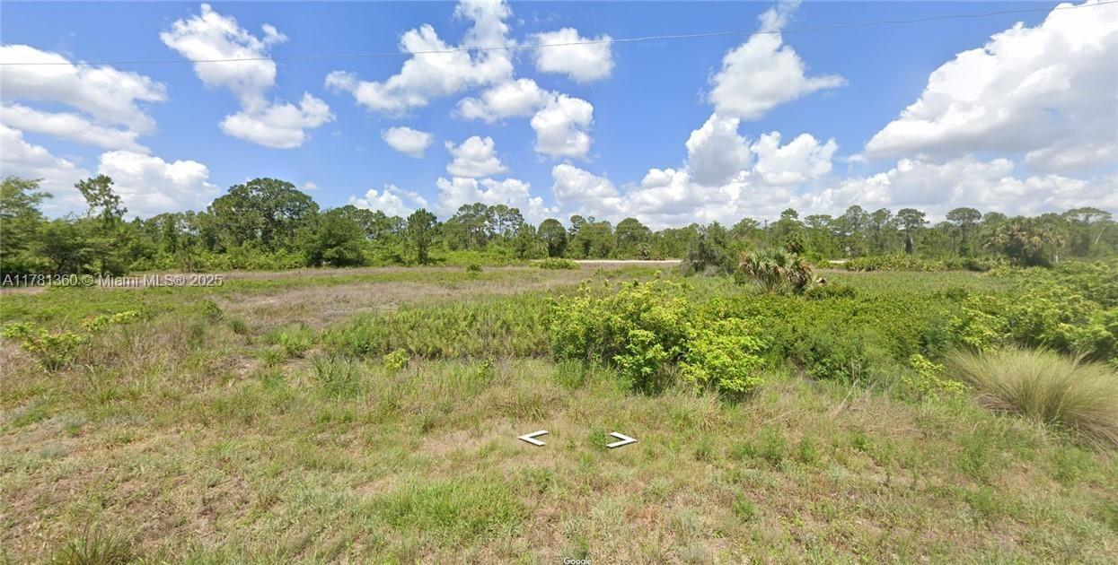 Build Your Dream Home in Lehigh Acres! This spacious vacant quarter acre lot is ready for you to build your custom single-family home in the growing community of Lehigh Acres! Enjoy peaceful surroundings, affordable living, and easy access to Fort Myers while being close to shopping, dining, parks, and top-rated schools. With plenty of new development in the area, this is the perfect opportunity to invest in Florida living! SELLER FINANCING AVAILABLE!!
The buyer’s agent or broker is required to be present at all showings, meetings, inspections, and appointments. Unaccompanied buyers will not be permitted access to the property.