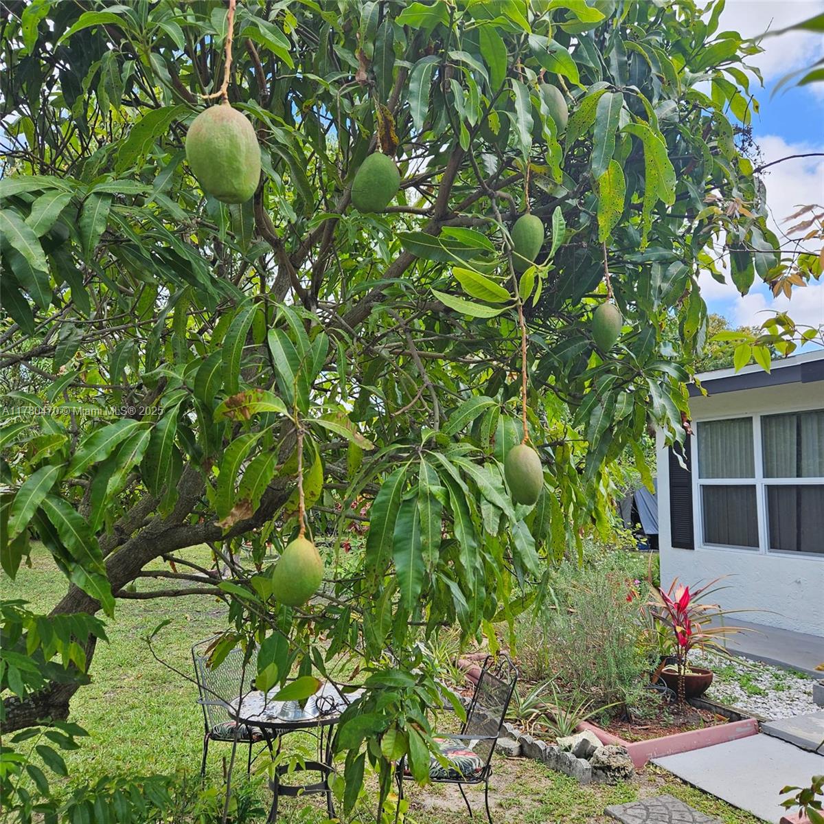 LAUDERDALE LITTLE RANCHES - Land
