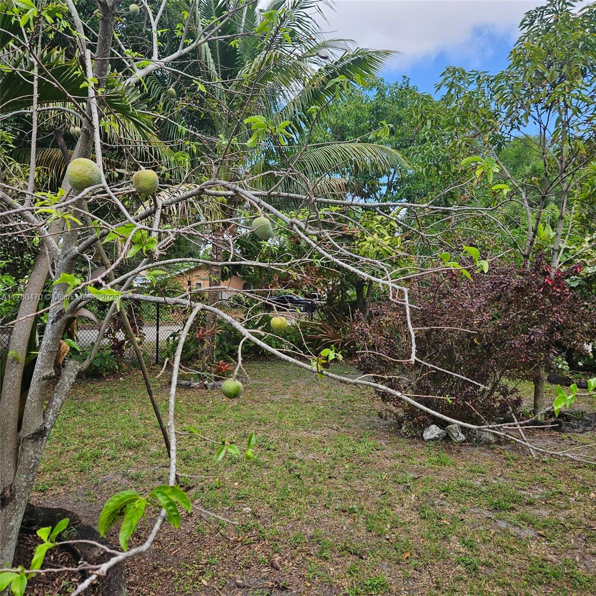 LAUDERDALE LITTLE RANCHES - Land