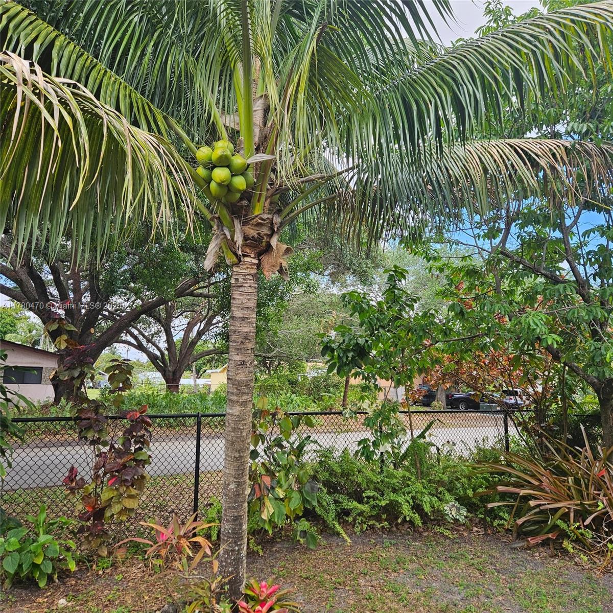 LAUDERDALE LITTLE RANCHES - Land
