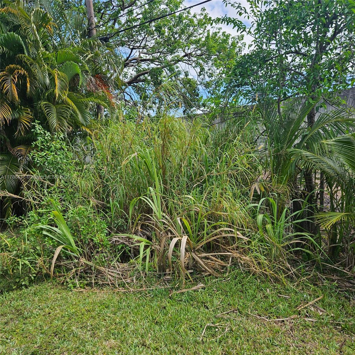 LAUDERDALE LITTLE RANCHES - Land