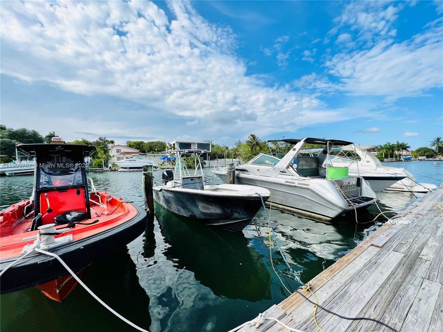 Spacious renovated one bedroom and one bath in Normandy Isles on the canal! Wood floors, freshly painted, spacious living room, spacious bedroom, central air and washer and dryer in unit! Walking distance to many restaurants, shops and stores! Just minutes to the beach! Boat docks available for additional $650 a month!