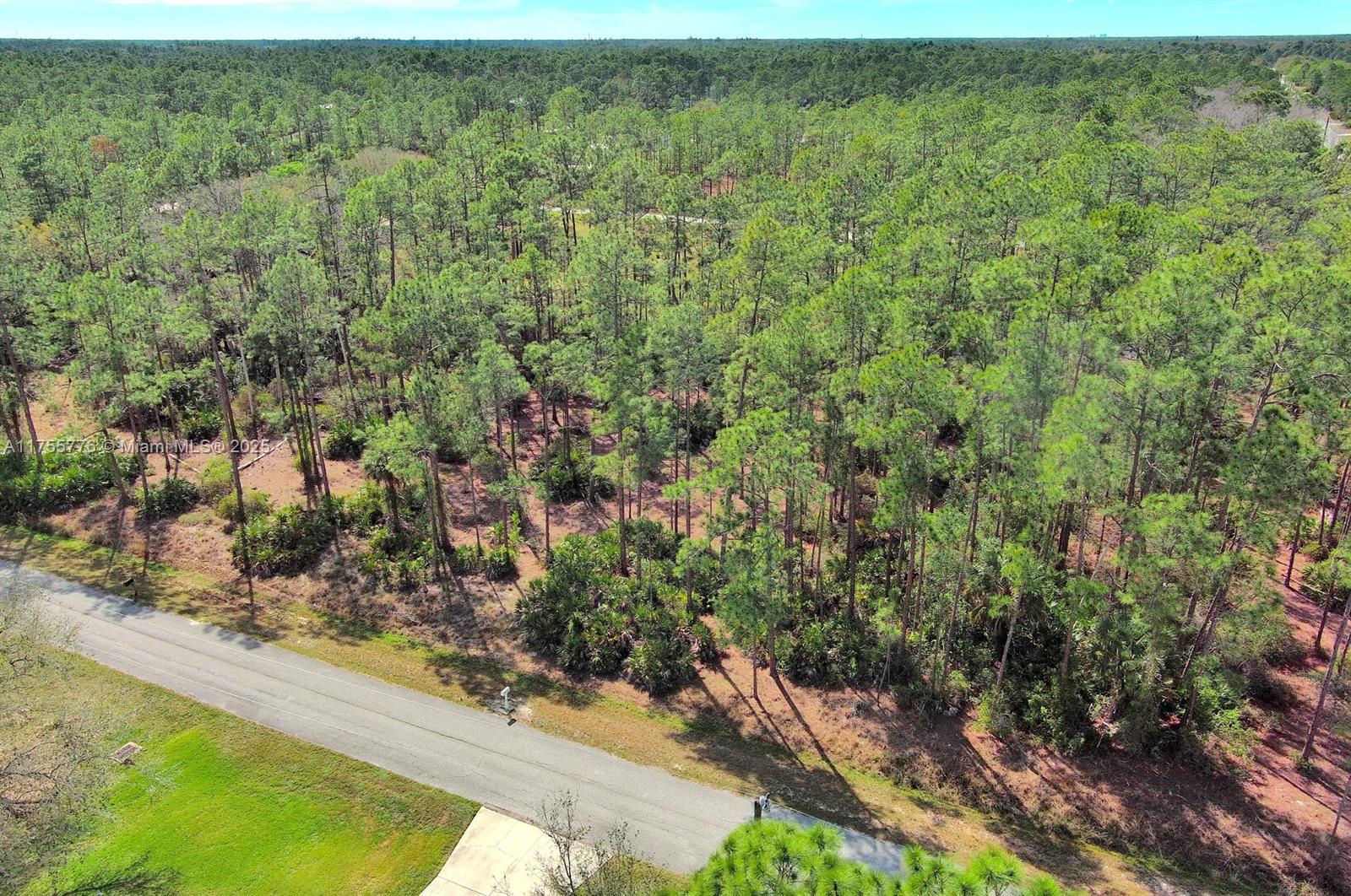 Exclusively presented by Sunland Real Estate: this prime half-acre residential lot in Alva / Northern Lehigh Acres. Located just off Joal Blvd, and also near Palm Beach Blvd. Great location, this lot is ready for development. Sitting high and dry, safely outside any flood zone, this lot offers an excellent opportunity to build in one of Southwest Florida’s fastest-growing communities. Lehigh Acres is celebrated for its affordable land, welcoming neighborhoods, and proximity to Fort Myers. Enjoy a short drive to shopping, dining, and the Gulf Coast’s stunning beaches. This property is the perfect place to bring your next project to life in a vibrant, flourishing community.