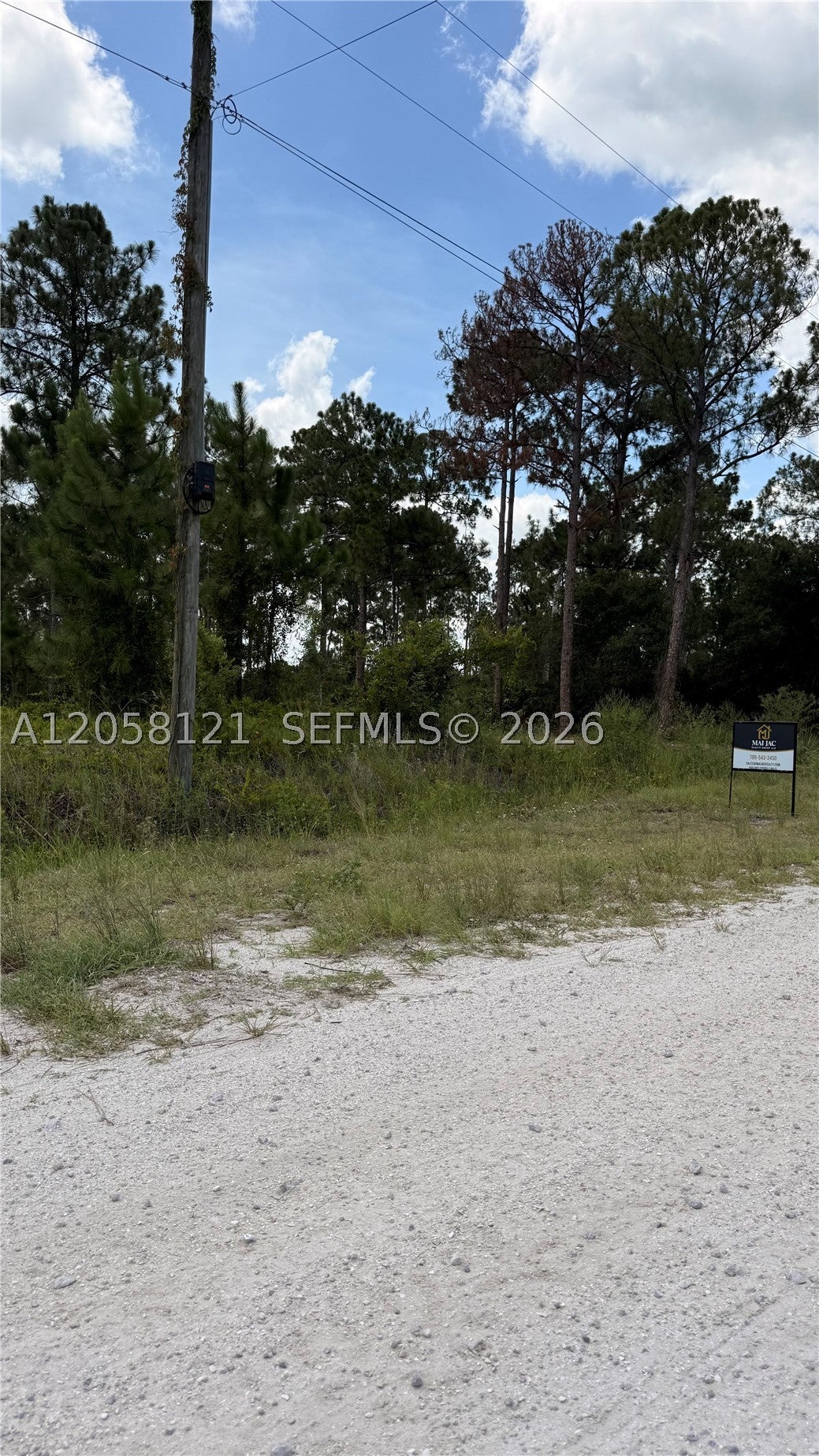 215 N Kennel St