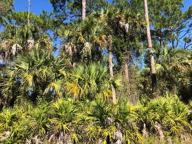Build your dream home on this generous 10,890 sq ft (0.25-acre) lot, perfectly situated in a quiet residential neighborhood of LaBelle, Florida. Just 10 minutes from LaBelle City Hall, this property offers the ideal blend of small-town charm and modern convenience.
Enjoy paved road access, no HOA, and proximity to local schools, parks, and shopping. Surrounded by natural beauty and a friendly, growing community, this lot is ideal for a custom home, retirement retreat, or long-term investment.
LaBelle is known for its scenic setting along the Caloosahatchee River, relaxed lifestyle, and easy access to Fort Myers, Gulf Coast beaches, and more. Don’t miss your chance to own a slice of Southwest Florida’s hidden gem!
