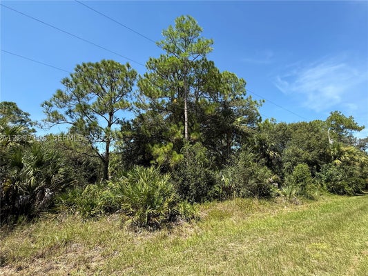 530 N GRANJA ST, CLEWISTON, FL 33440 - Image 1aaa17f872d32fe2efc270fbb15b5b4e/2951753834