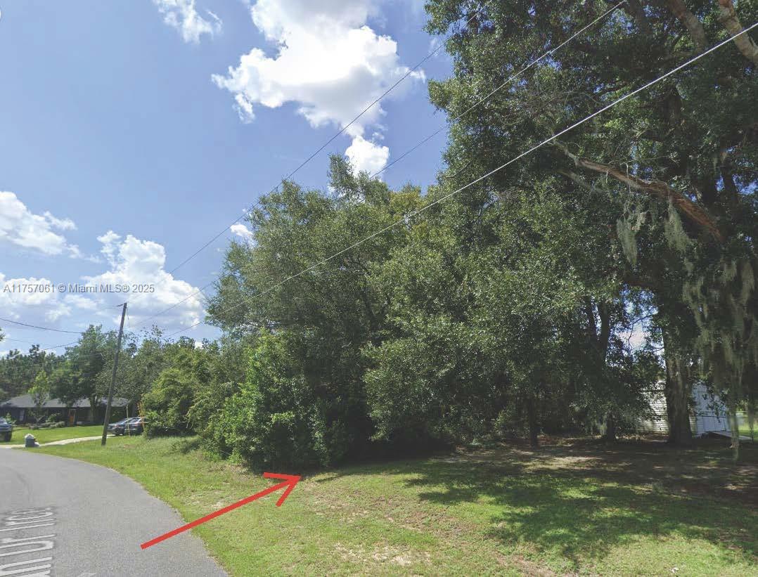 Silver Springs Shores - Land