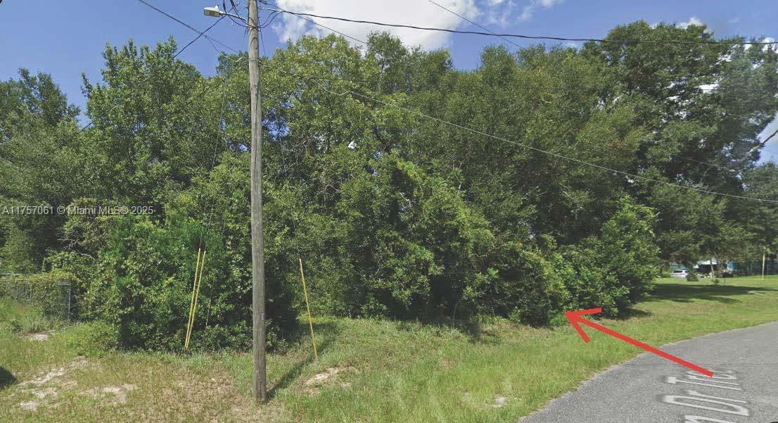 Silver Springs Shores - Land