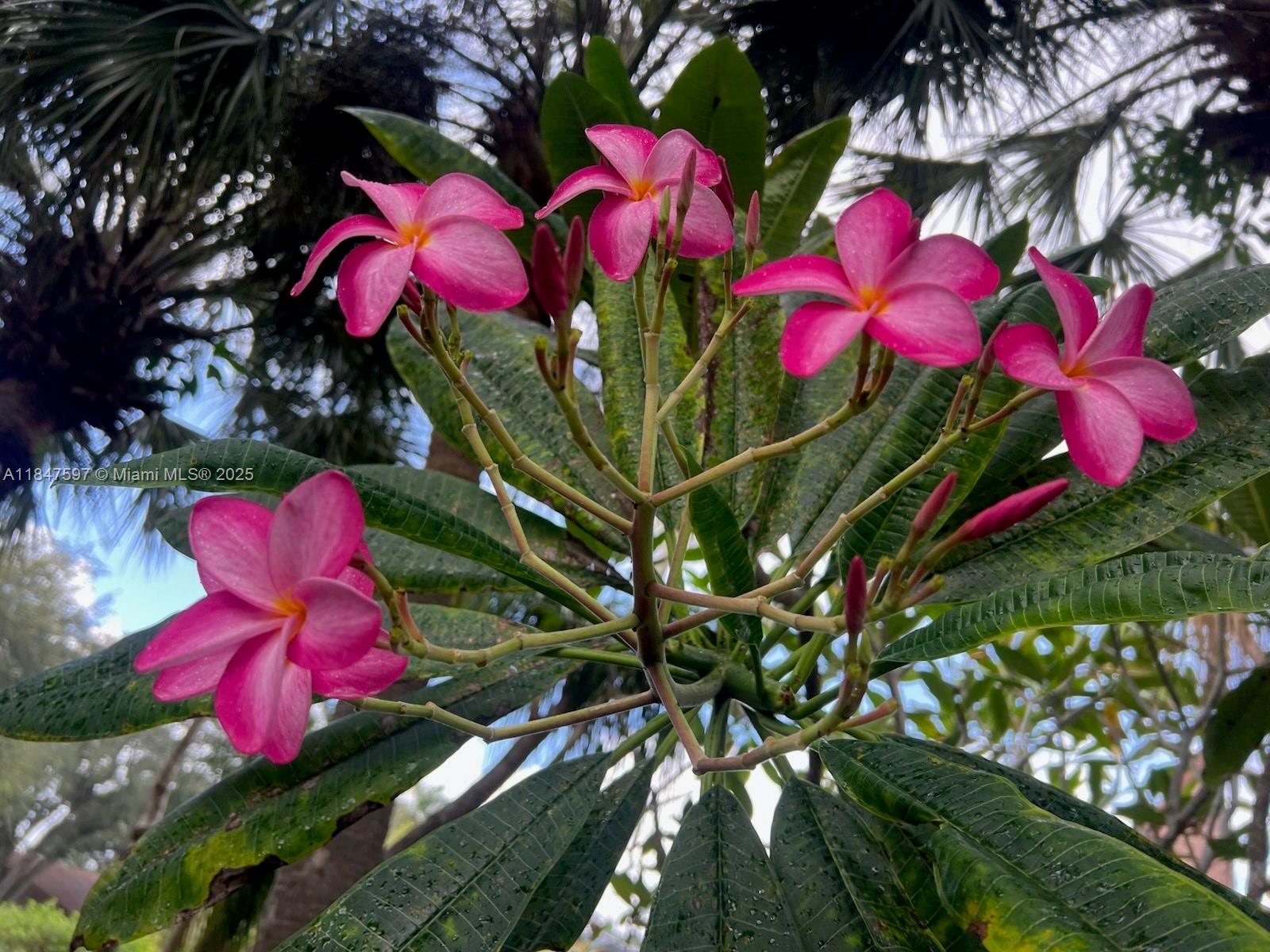 Orangewood Estates - Residential