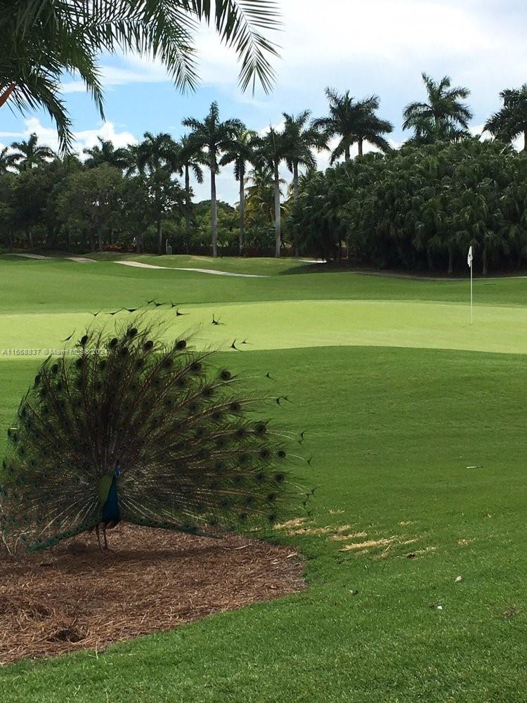 SIENA AT DEERING BAY COND - Residential