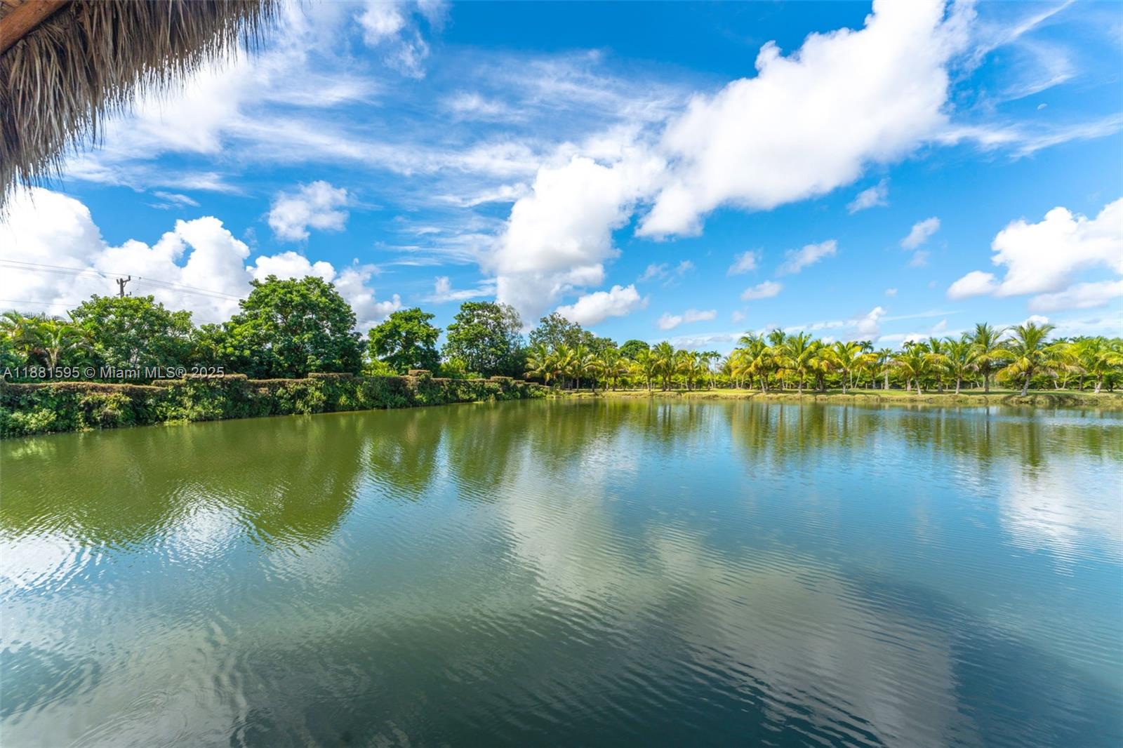 FOR RENT 18K NEG A MONTH - Land