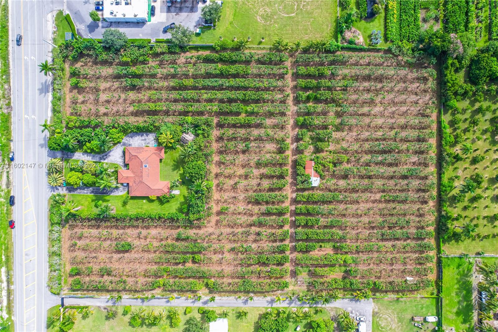 Premier Properties is pleased to present a rare income producing home sitting on 5.7 acres of farming land. The property was built in 1987 of CBS concrete consisting of four bedrooms, three bathroom with a two car garage. The interior features consist of formal living, family & dining rooms with renovated kitchen, tile floors, bathrooms and a covered terrace.
