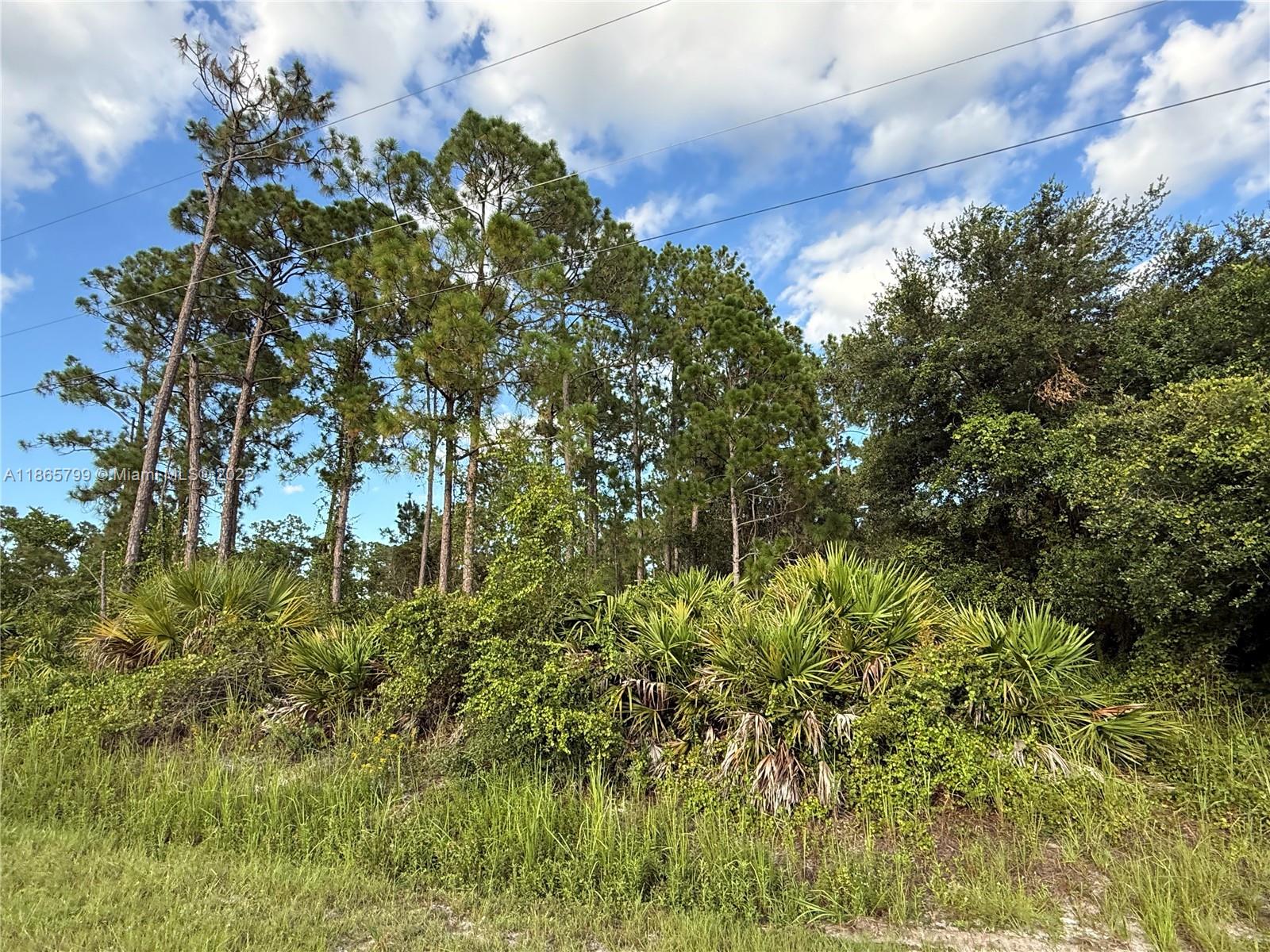 MONTURA RANCH ESTATES - Land