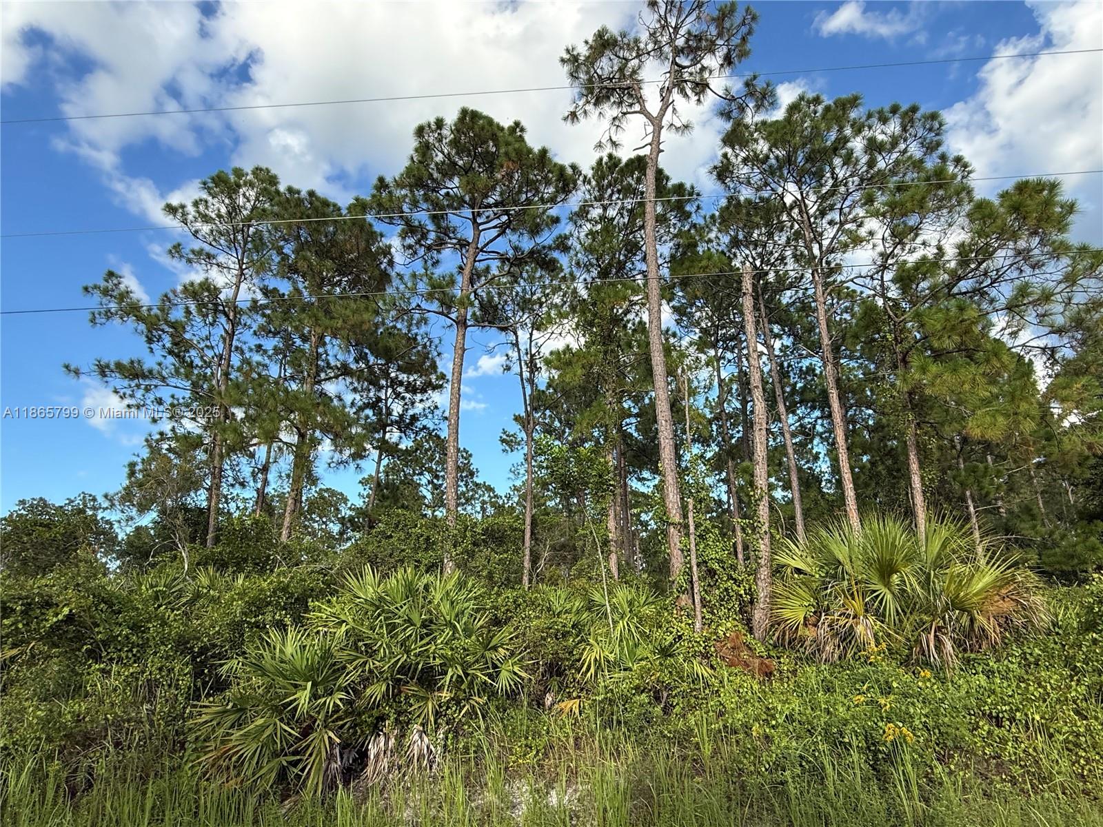 MONTURA RANCH ESTATES - Land