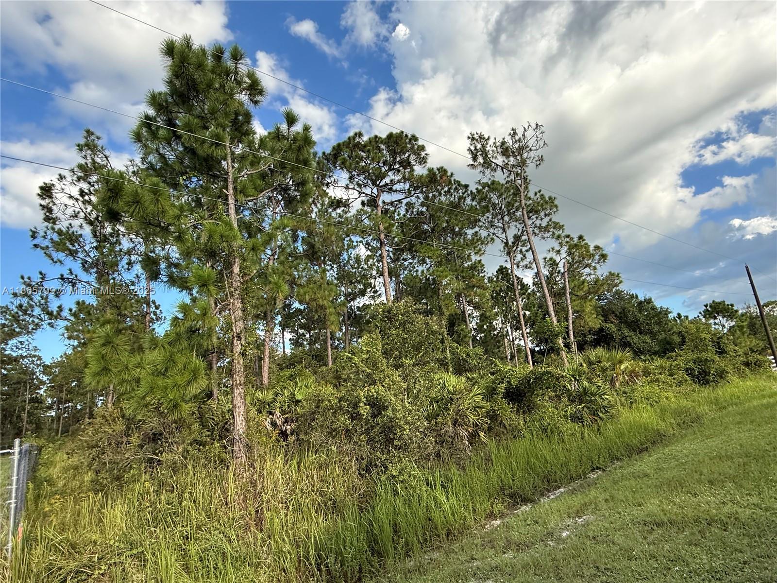 MONTURA RANCH ESTATES - Land