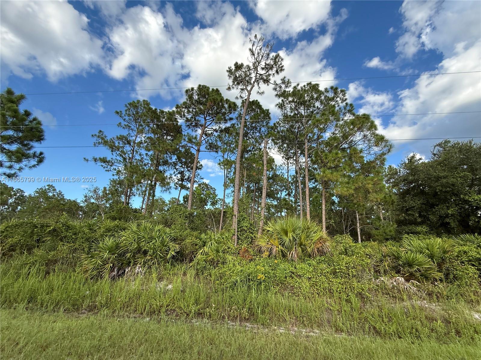 1.25 ACRES WELL LOCATED AT MONTURA RANCH ESTATES! HIGH & DRY LOT! BOTH SIDES NEIGHBORS HAVE FENCE ALREADY PRICE TO SELL FAST!! BEST OPTION IN THE MARKET! NO WETLAND! CLEAN TITLE!! GREAT INVESTMENT OPPORTUNITY! YOU CAN BUILD YOUR DREAM HOUSE OR INSTALL YOUR MOBILE HOME ENDLESS POSSIBILITIES!!! YOU CAN HAVE YOUR WEEKEND GETAWAY FROM THE CITY, JUST 65 MILES FROM WESTON, 90 MILES FROM MIAMI, YOU CAN HAVE YOUR FARM ANIMALS AND ENJOY THE CAMP STYLE OF MONTURA RANCH ESTATE YOU CAN GO DIRECTLY TO THE PROPERTY AND CALL ME OR TEXT ME IF YOU NEED ANY EXTRA INFORMATION