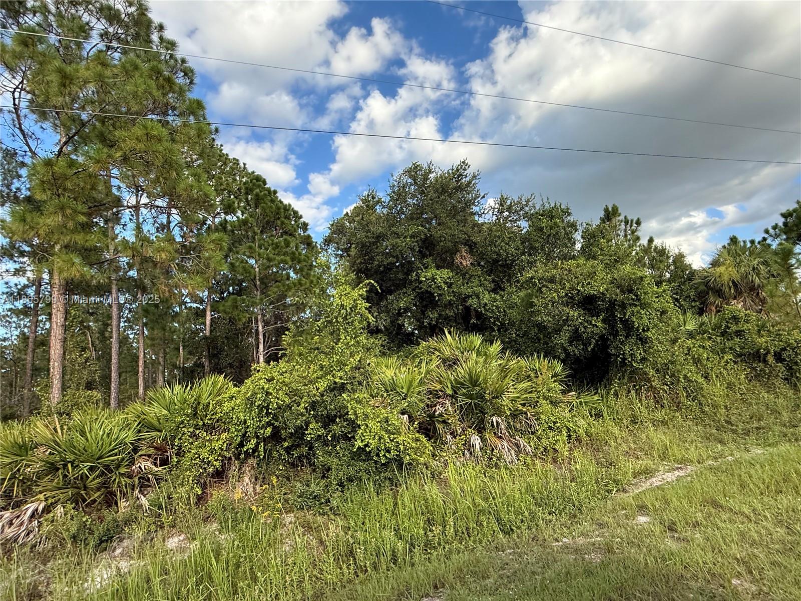 MONTURA RANCH ESTATES - Land