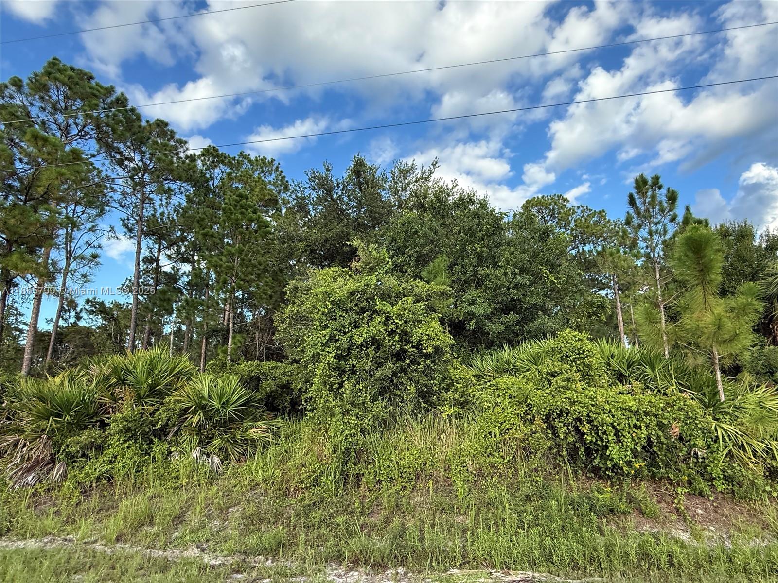 MONTURA RANCH ESTATES - Land