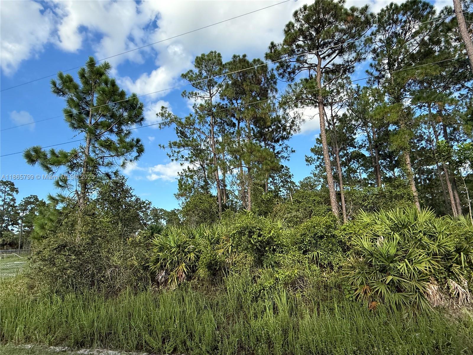 MONTURA RANCH ESTATES - Land