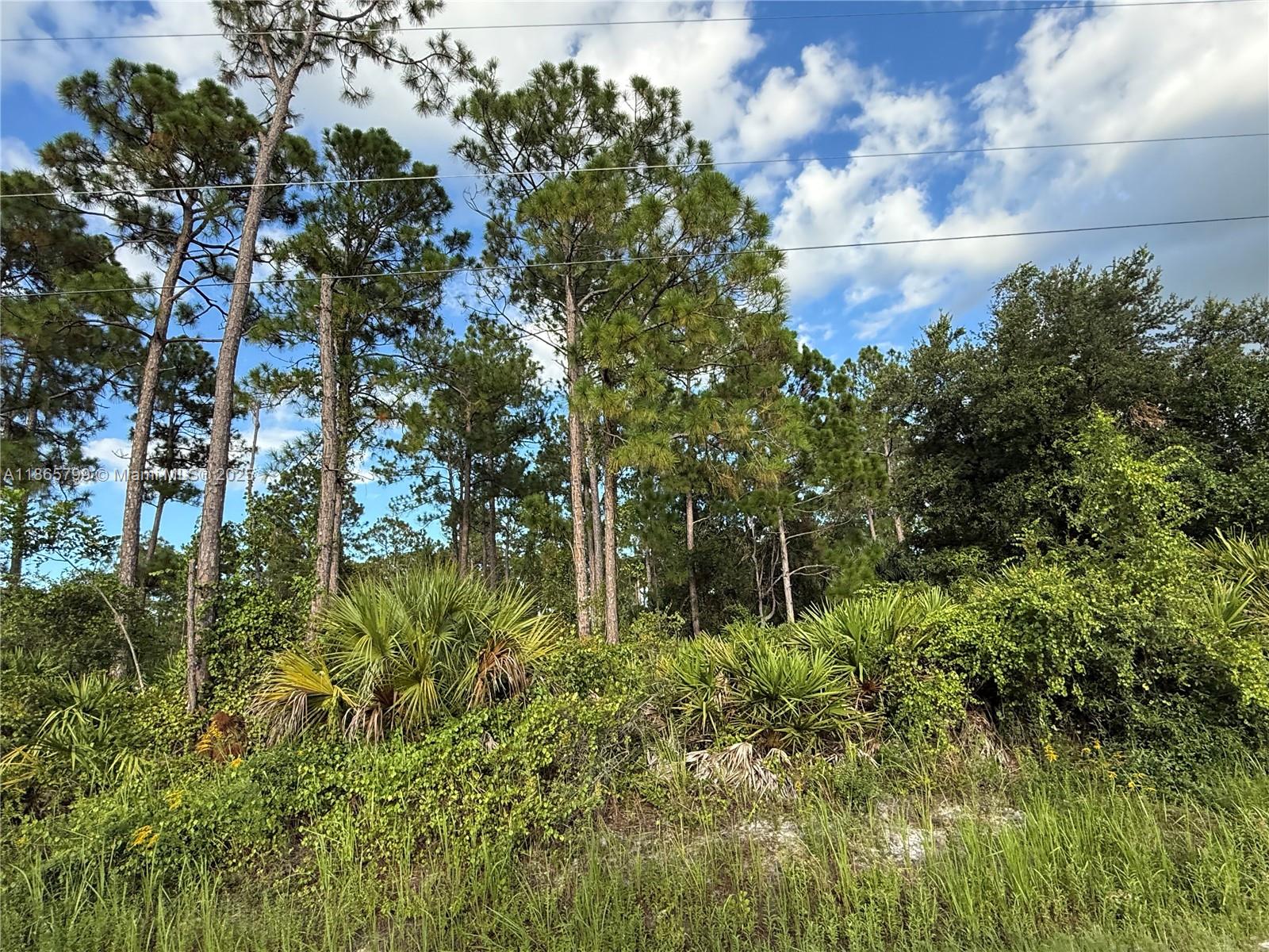 MONTURA RANCH ESTATES - Land