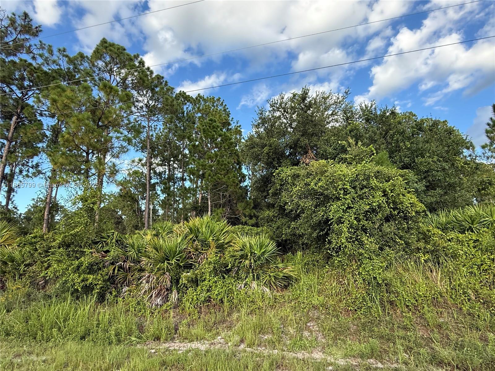 MONTURA RANCH ESTATES - Land