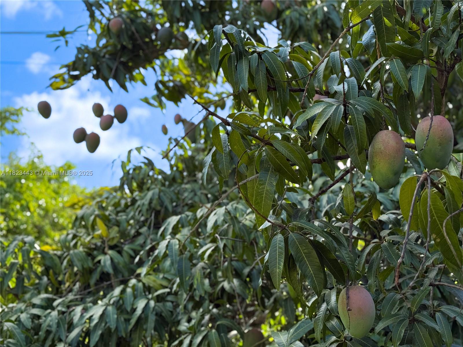 Baptist Hospital Area - Residential