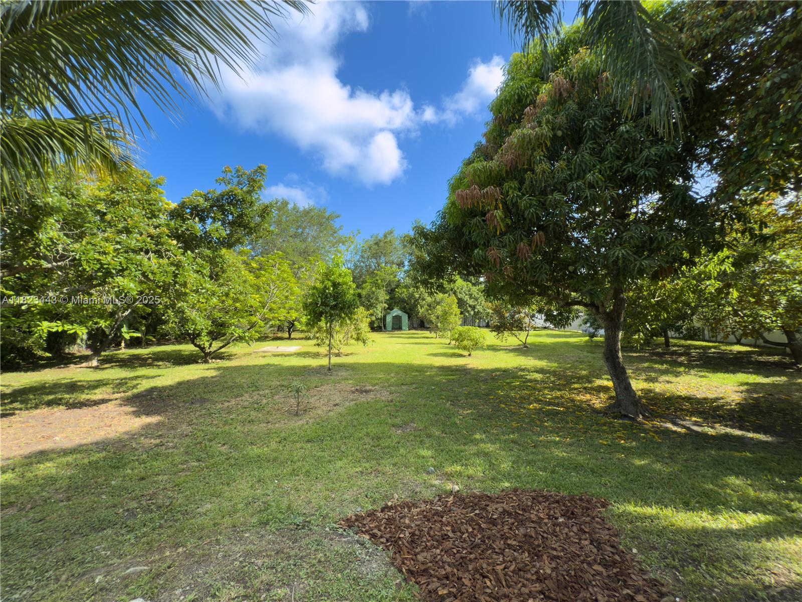 Baptist Hospital Area - Residential