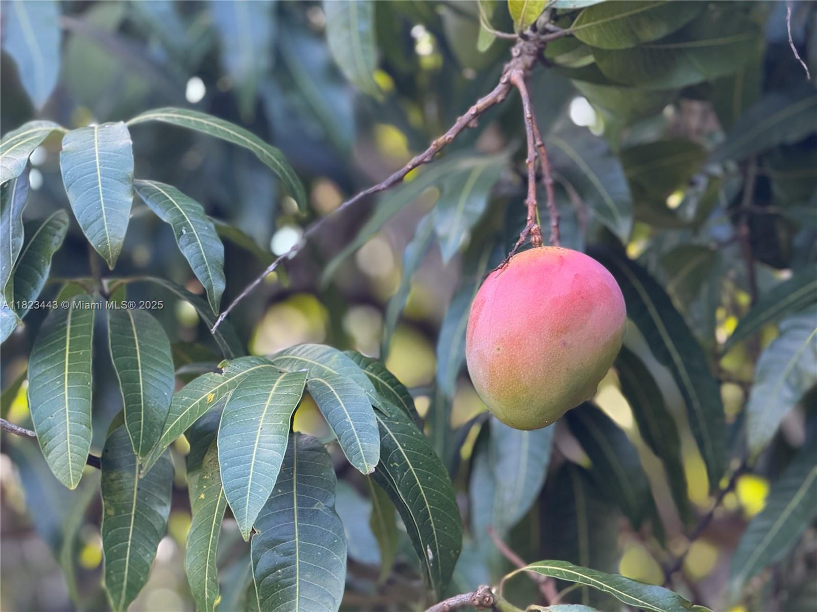 Baptist Hospital Area - Residential