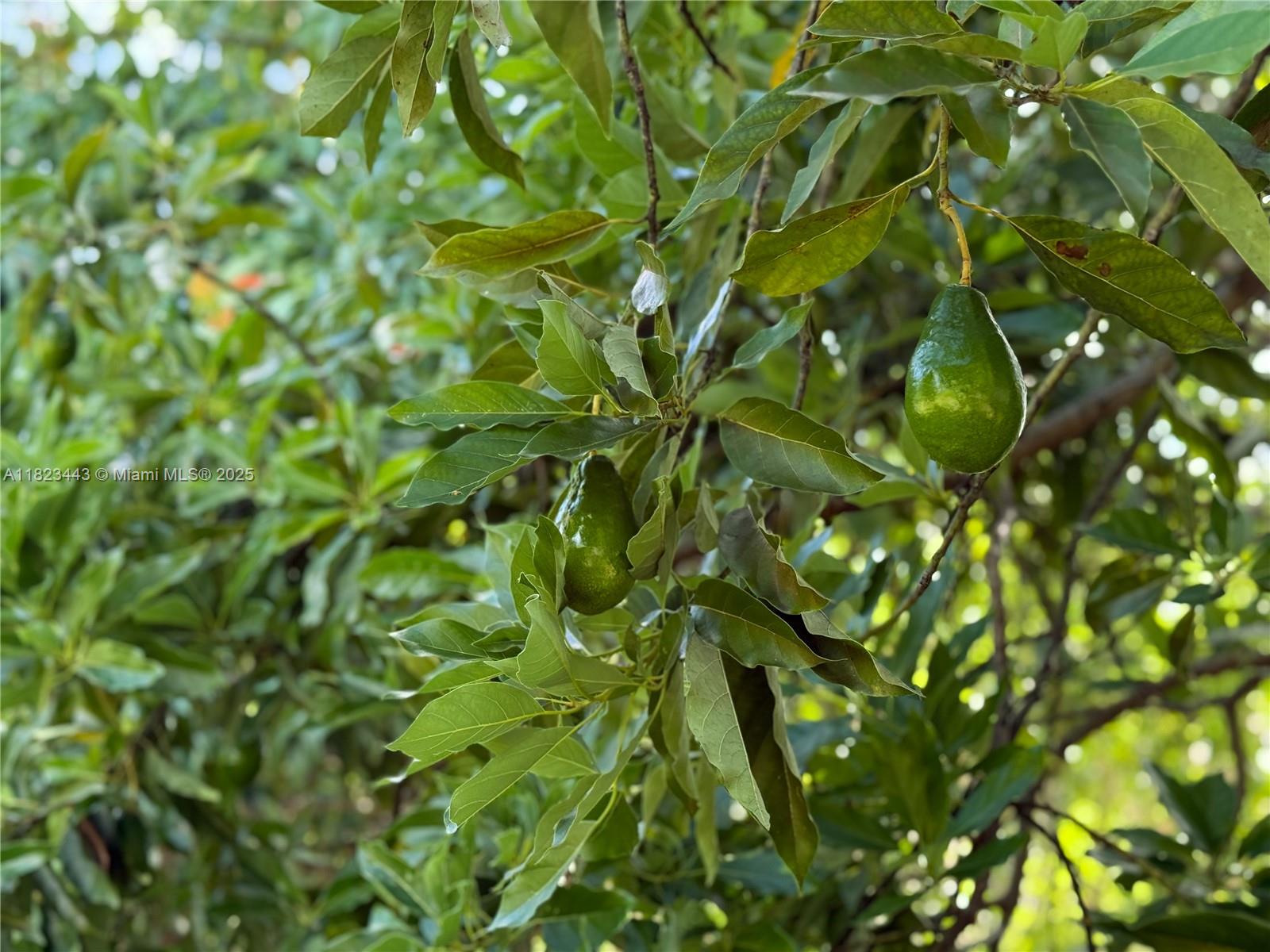 Baptist Hospital Area - Residential