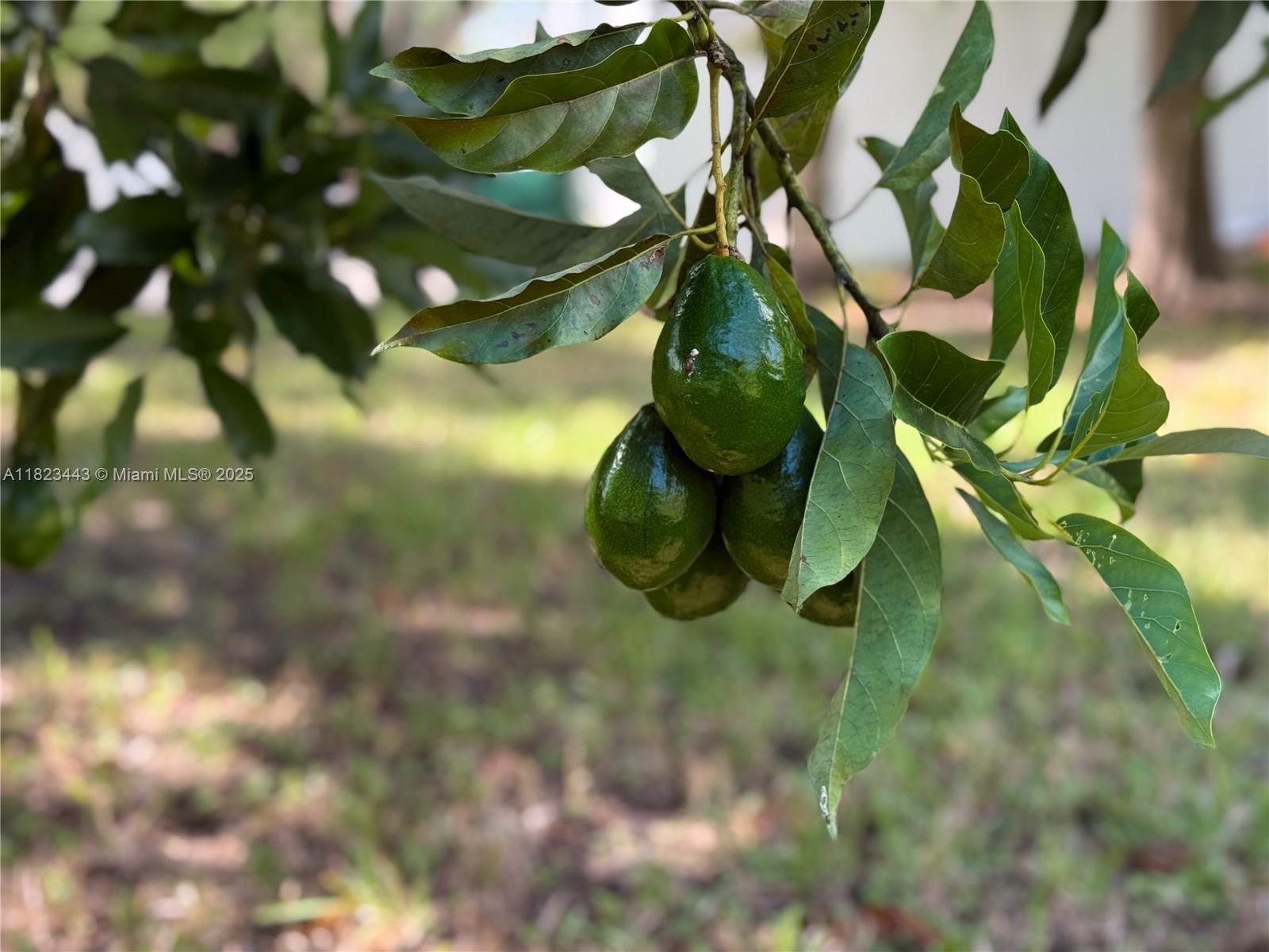 Baptist Hospital Area - Residential