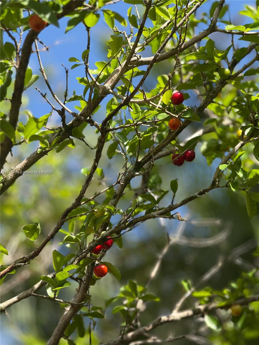 Baptist Hospital Area - Residential