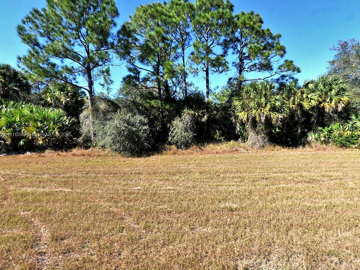 Very nice northern rear exposure in a nice quiet setting and fast developing area. No HOAs with fees or deed restrictions or CDDs. Not on the North Port Scrub Jay list 04/24/25 please reconfirm during due diligence. Conveniently located to shopping, dining, parks, Many beaches located within a 35 minutes’ drive from this lot. New construction is everywhere.