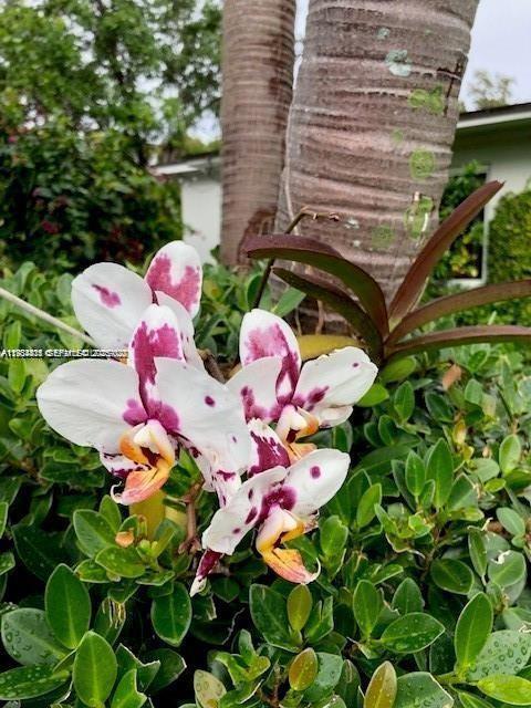 MIAMI SHORES SEC 6 - Residential