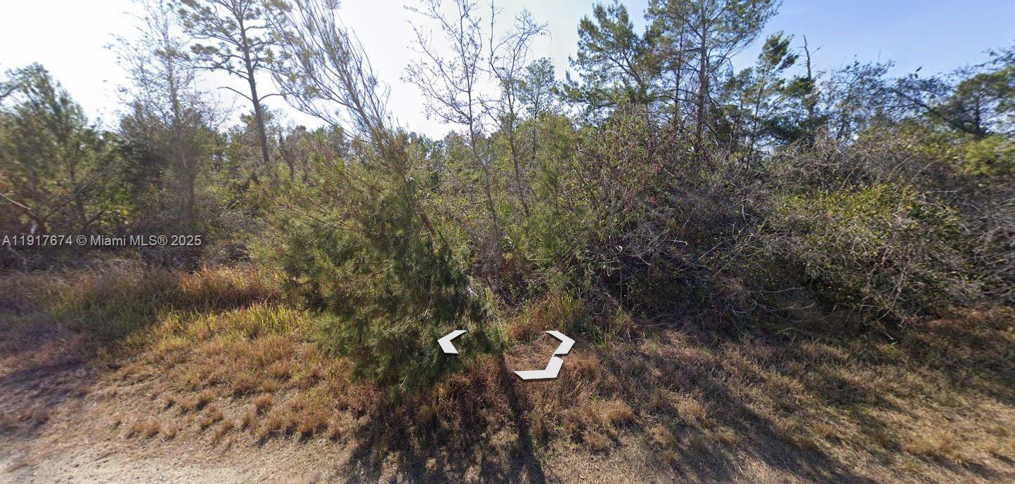 3292 Gossamer Avenue