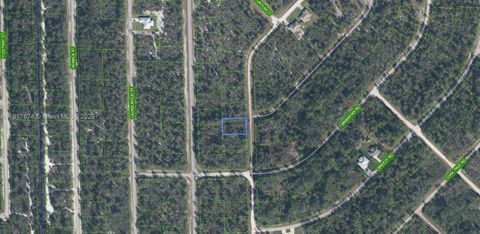 3292 Gossamer Avenue Lake Placid FL 33852