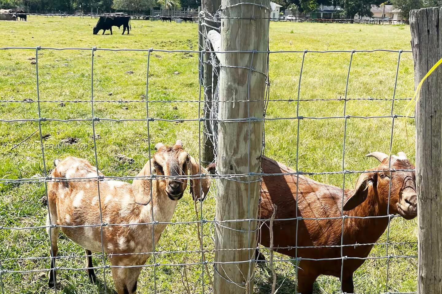 356715 - Residential